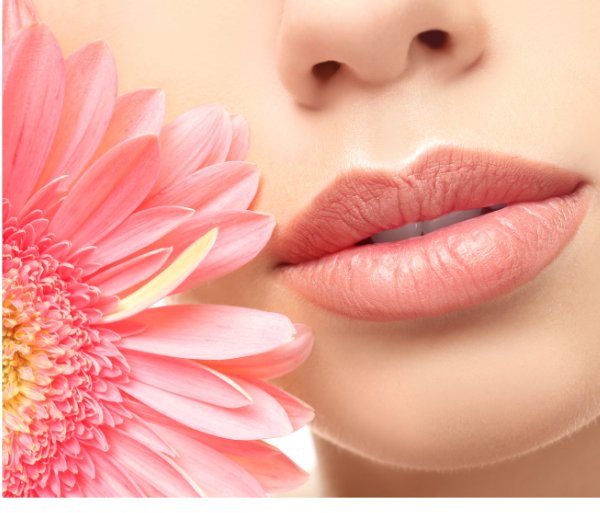 Coconut Lip Balm - Sweetened Flavor - Wixy Soap - Lip Balm Flavour