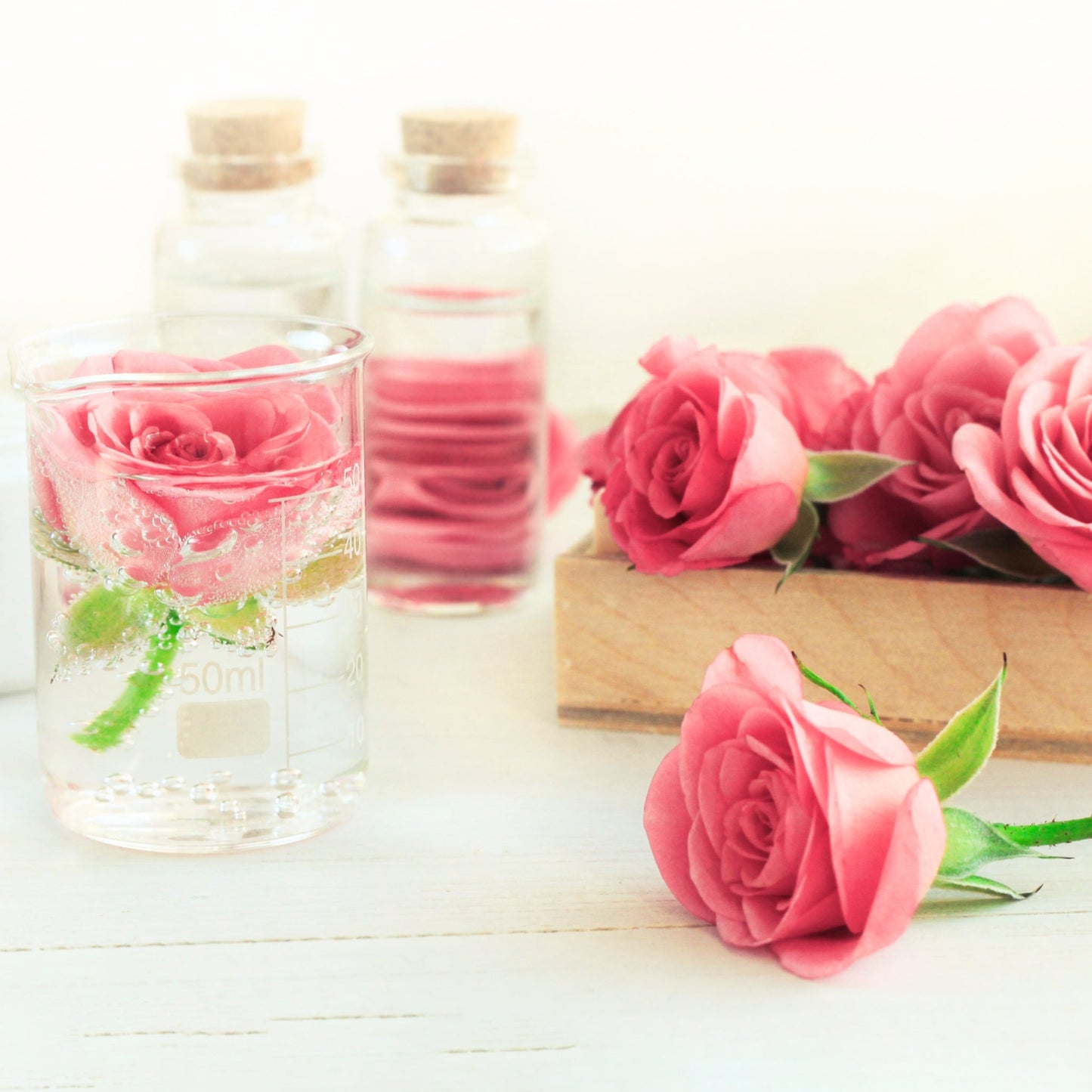 Rose Floral Water - Wixy Soap - Fragrance