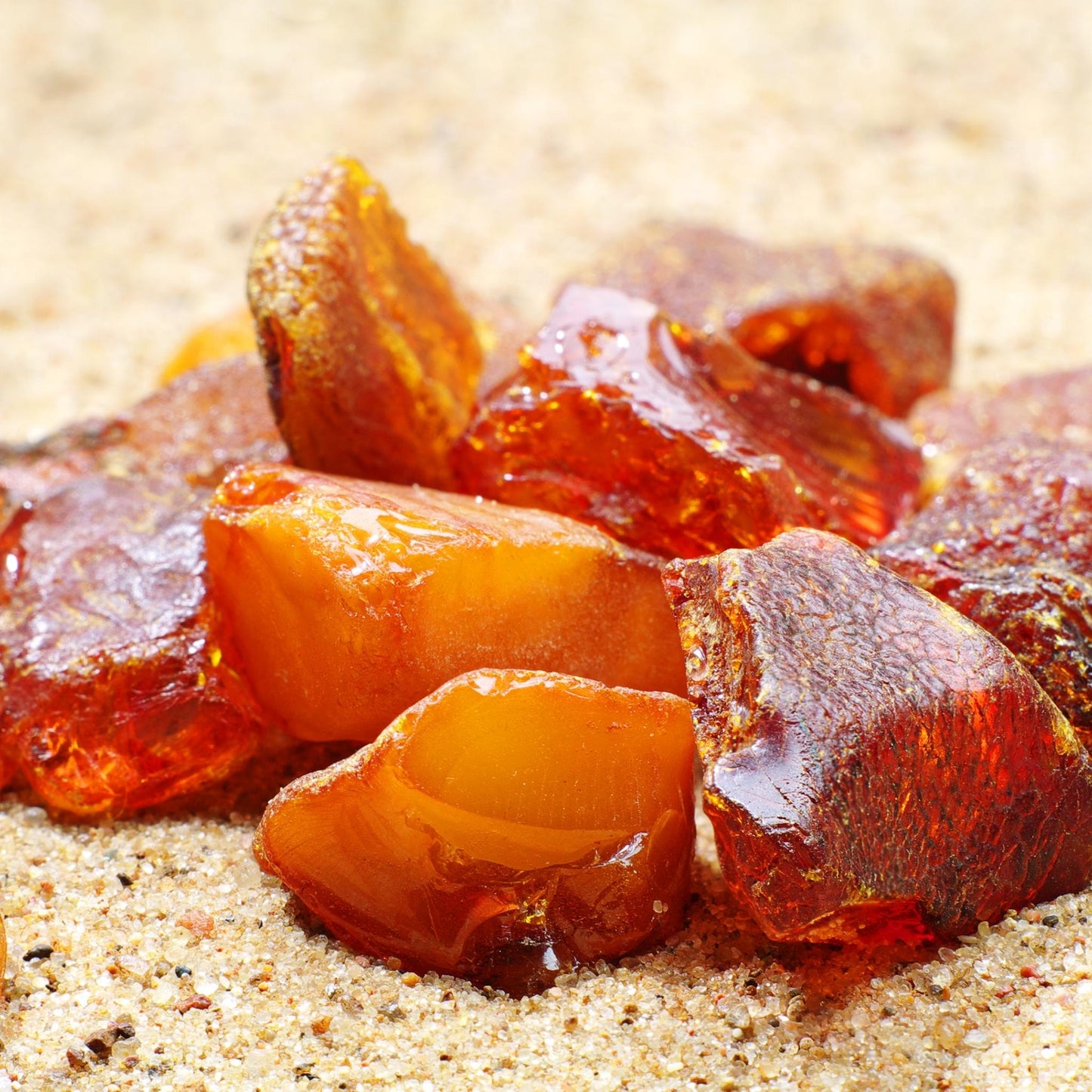 Amber Musk Fragrance Oil - Wixy Soap - Fragrance