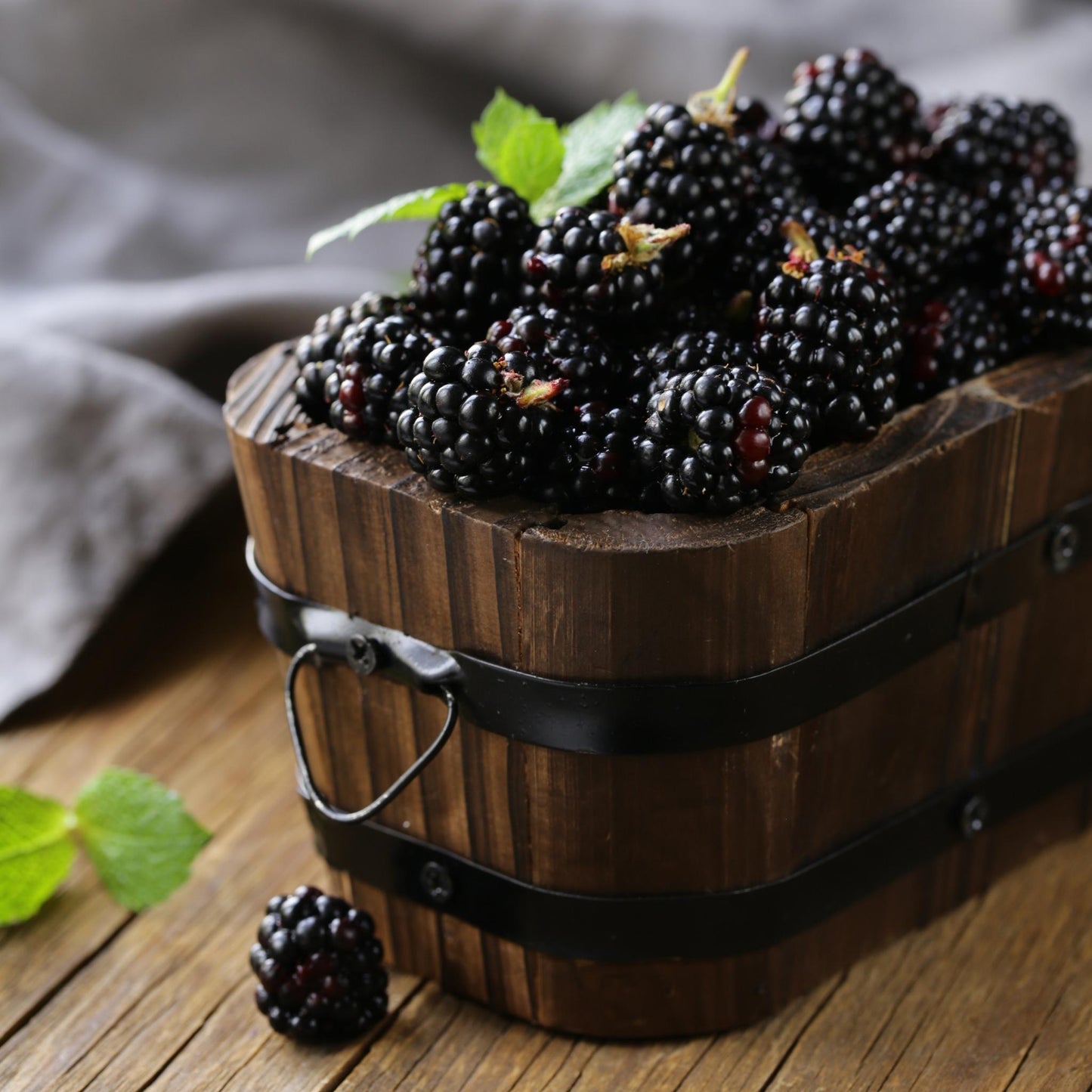 Black Raspberry Vanilla Fragrance Oil - Wixy Soap - Fragrance