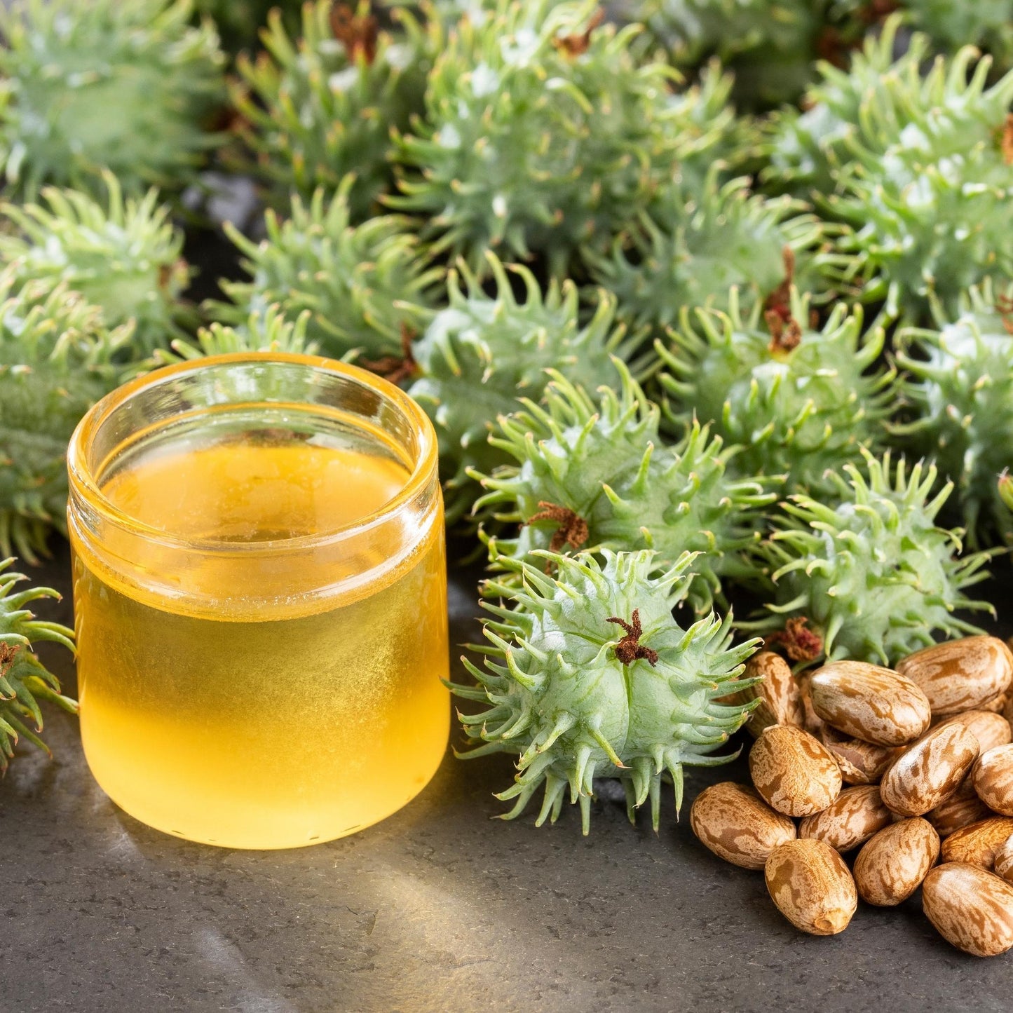 Castor Carrier Oil - Wixy Soap - Soap Supply