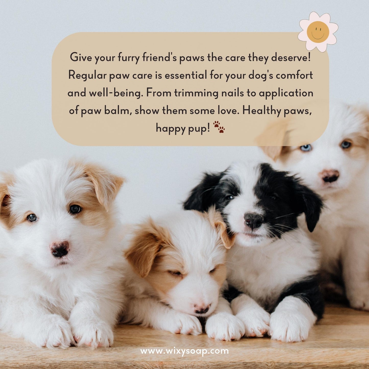 Dog Paw Balm - Wixy Soap - Pet Care