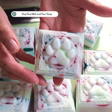 Load image into Gallery viewer, Melt and Pour Soap Making Class - Wixy Soap - Service
