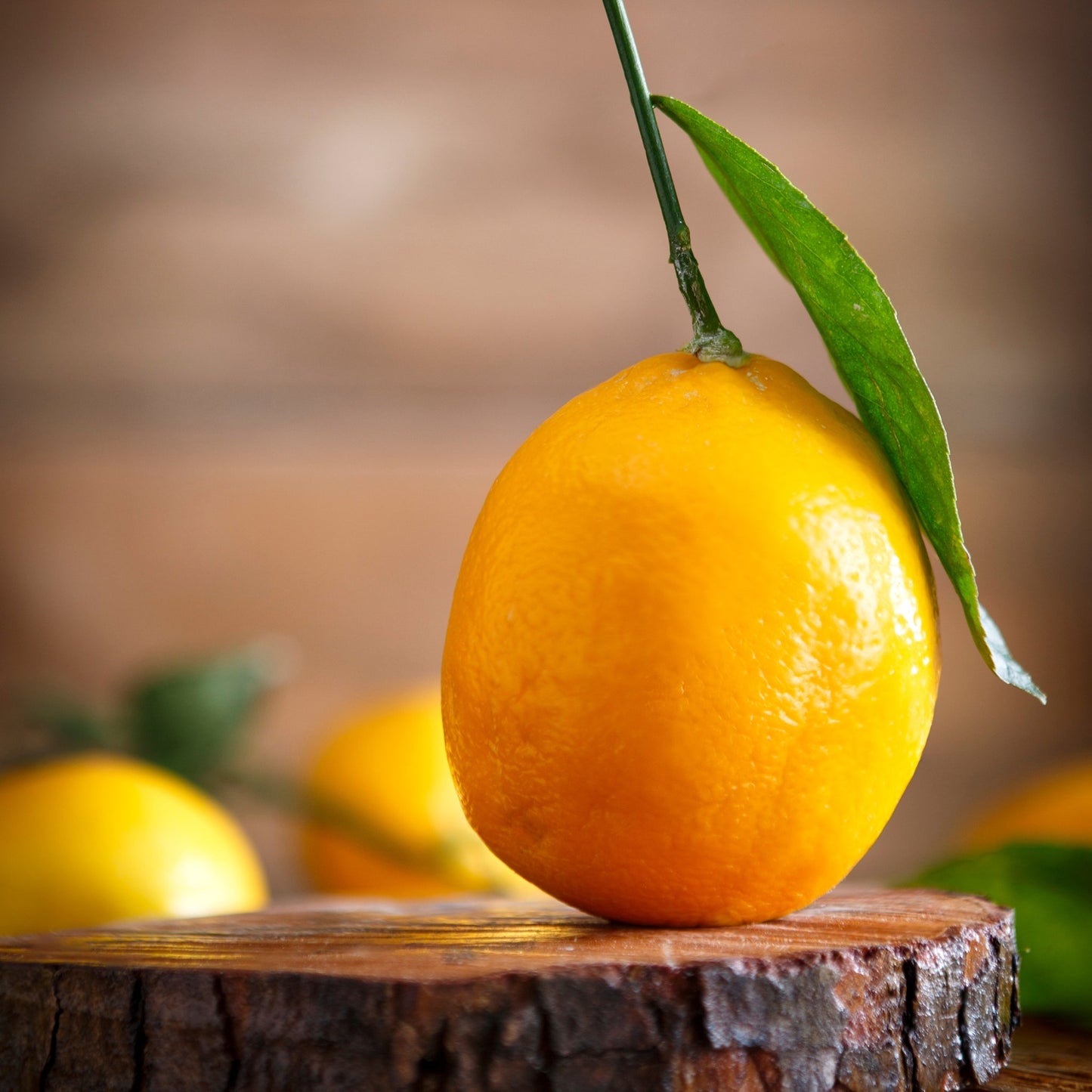 Meyer Lemon Fragrance Oil - Wixy Soap - Fragrance