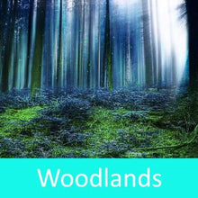 Load image into Gallery viewer, Woodlands Fragrance Oil - Wixy Soap - Fragrance
