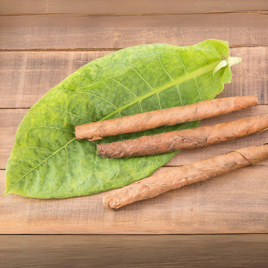 Bay Leaf & Tobacco Fragrance Oil - Wixy Soap - Fragrance