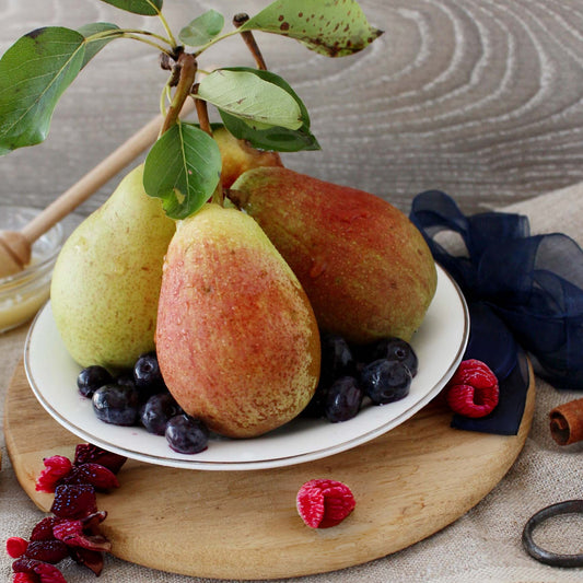 Berries & Pears (BBW Dupe) Fragrance Oil - Wixy Soap - Fragrance