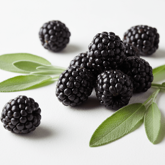 Blackberry Sage Fragrance Oil - Wixy Soap - Fragrance