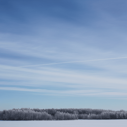 Blue Winter Sky Fragrance Oil - Wixy Soap - Fragrance