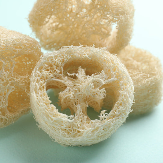 Natural Loofah Sponges - Wixy Soap - Soap Supply