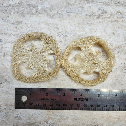 Natural Loofah Sponges - Wixy Soap - Soap Supply