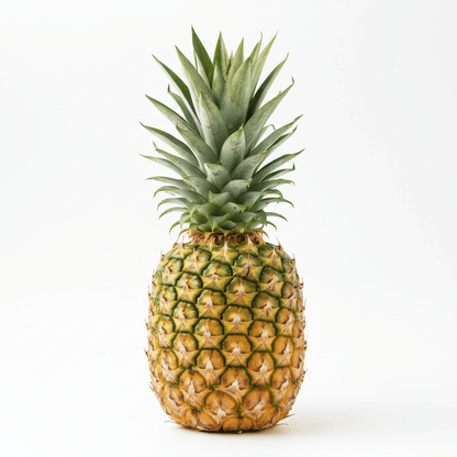 Pineapple Lip Balm Flavour - Wixy Soap - Lip Balm Flavour