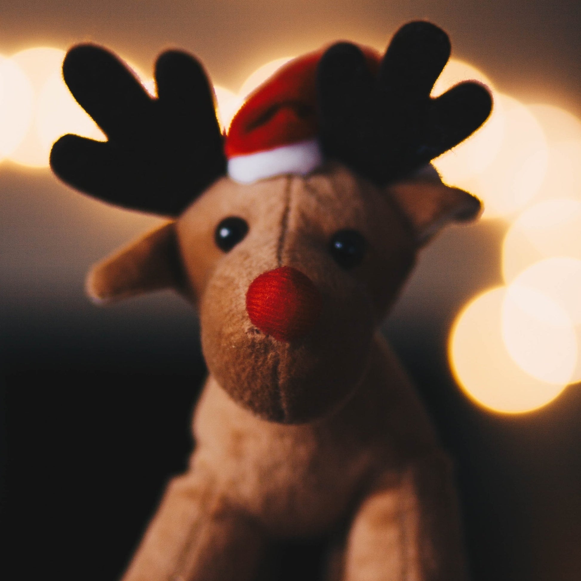 Rudolph's Fragrance Oil - Wixy Soap - Fragrance