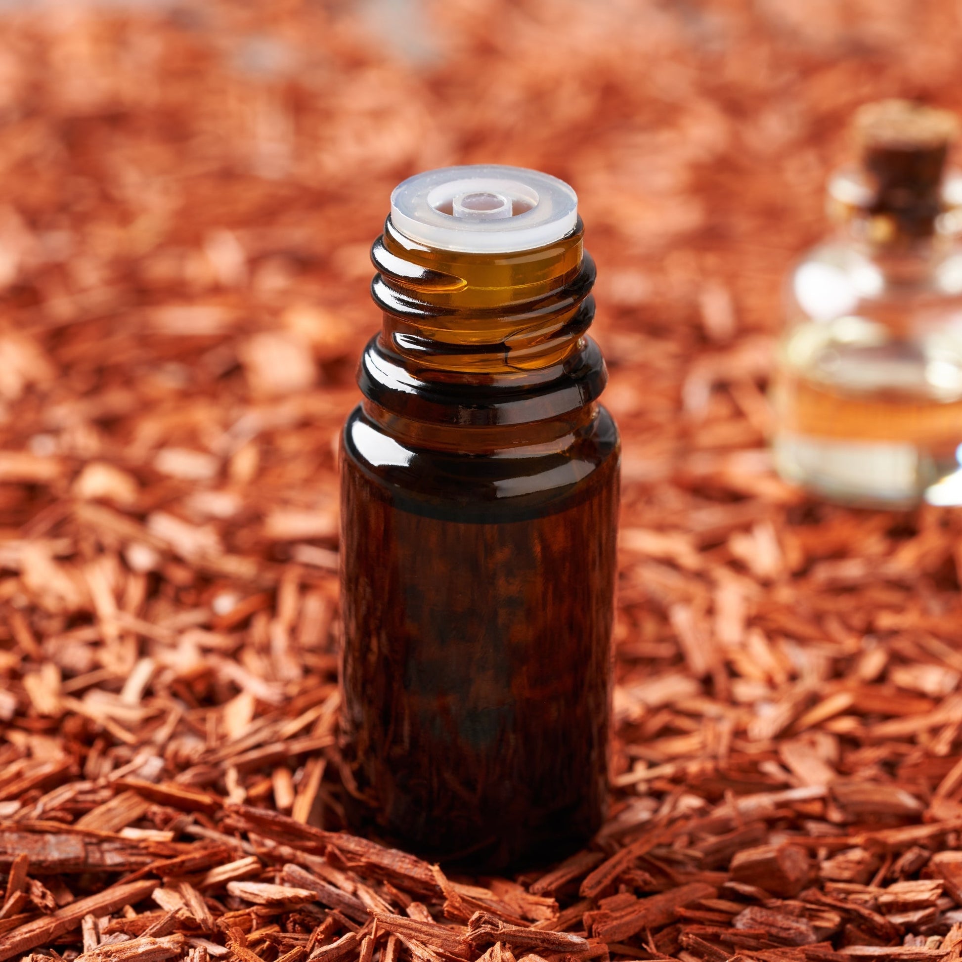 Sandalwood Amber Fragrance Oil - Wixy Soap - Fragrance