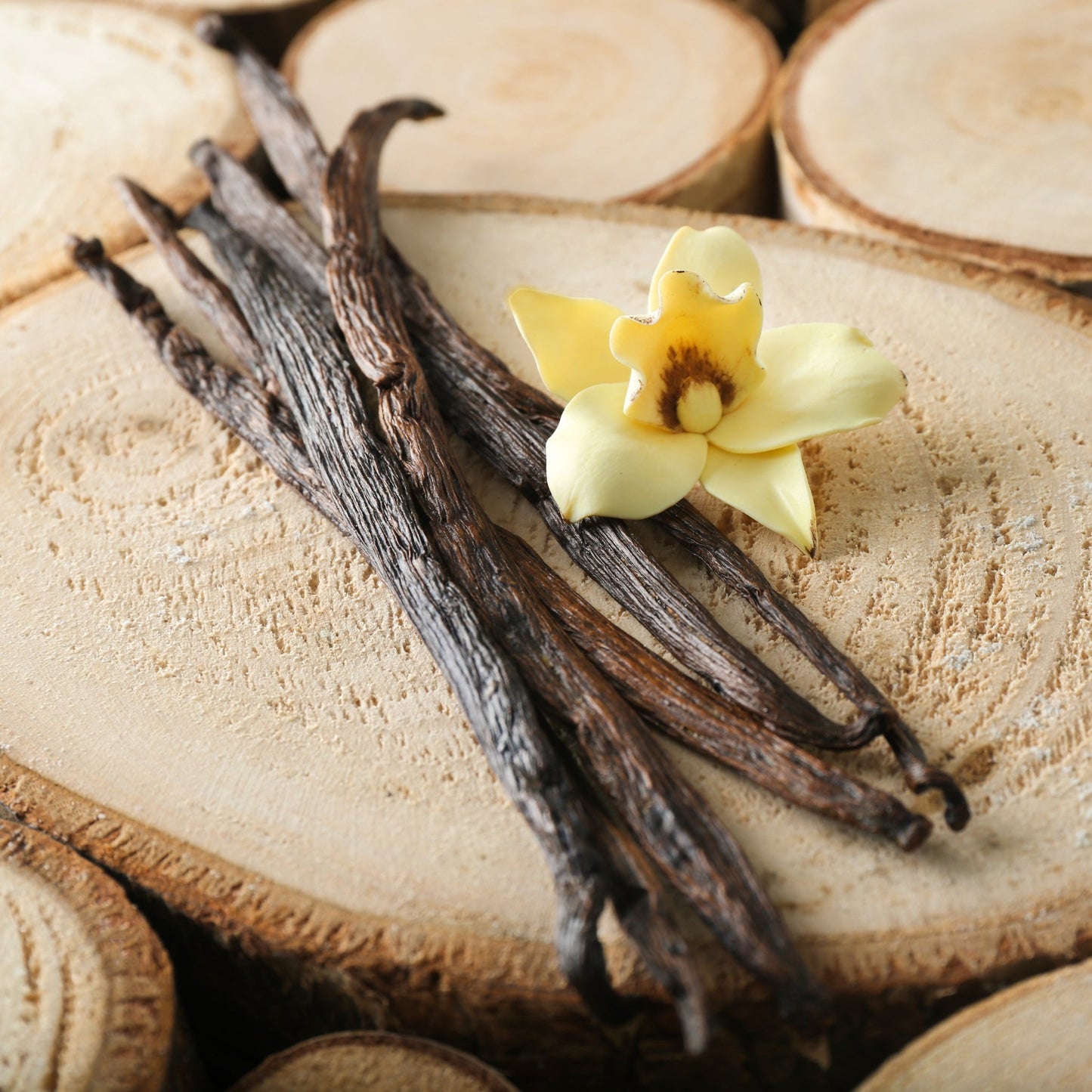 Vanilla Stabilizer CP Soap - Wixy Soap - Soap Supply