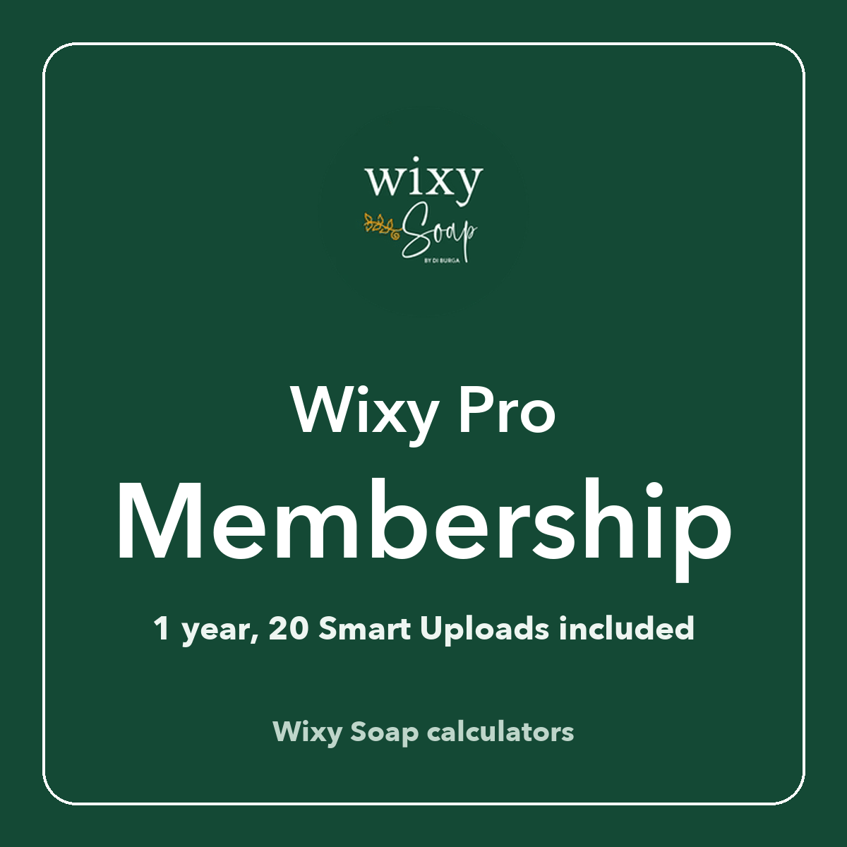 Wixy Pro Membership (1 year) - Wixy Soap - Wixy Pro
