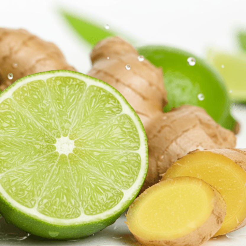 Zesty Lime & Ginger - Wixy Soap - Fragrance