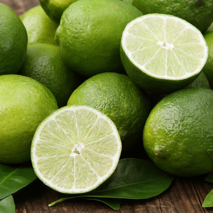 Agave Lime Fragrance Oil - Wixy Soap - Fragrance