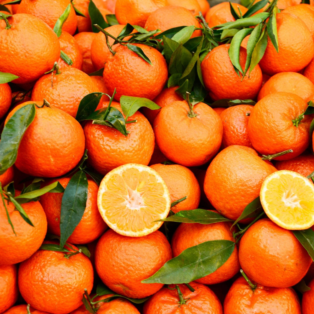 Clementine Essential Oil - Wixy Soap - Essential Oil