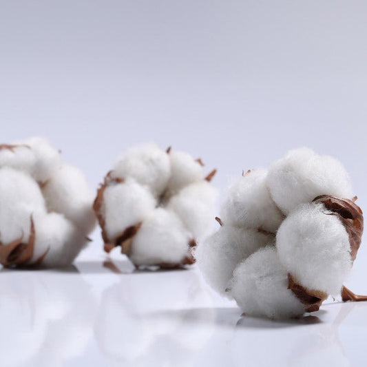 Indigo, Cotton Blossoms and Coconut Fragrance Oil - Wixy Soap - Fragrance