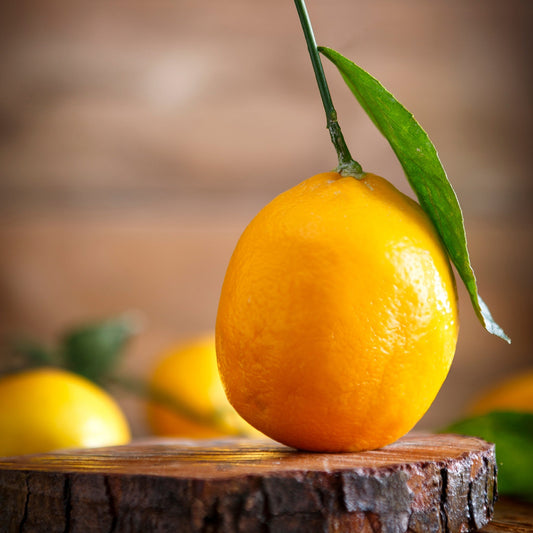 Meyer Lemon Fragrance Oil - Wixy Soap - Fragrance