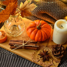Load image into Gallery viewer, Pumpkin Delight Fragrance Oil - Wixy Soap - Fragrance
