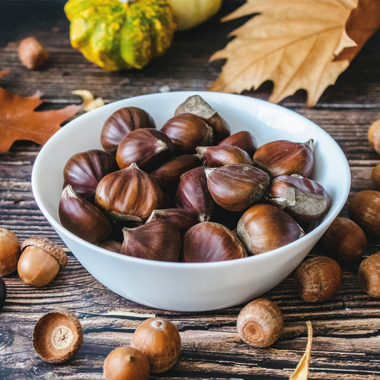 Roasted Chestnut Handmade Soap - Wixy Soap - Handmade Soap