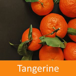 Tangerine Fragrance Oil - Wixy Soap - Fragrance